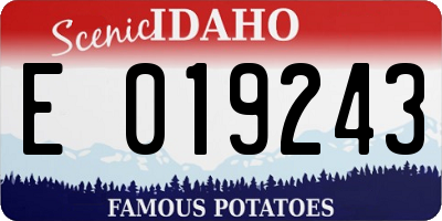 ID license plate E019243