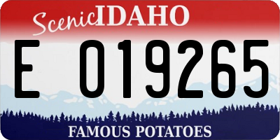 ID license plate E019265