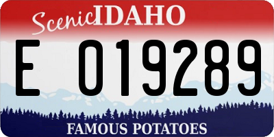 ID license plate E019289