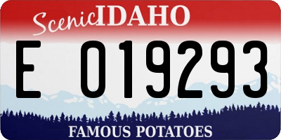 ID license plate E019293