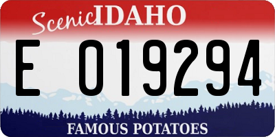 ID license plate E019294