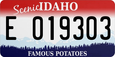 ID license plate E019303