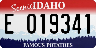ID license plate E019341
