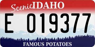 ID license plate E019377