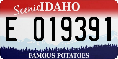 ID license plate E019391