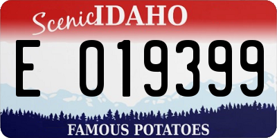 ID license plate E019399