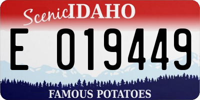 ID license plate E019449