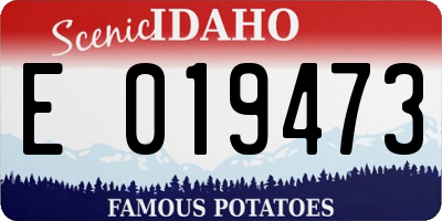 ID license plate E019473