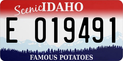 ID license plate E019491