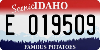 ID license plate E019509