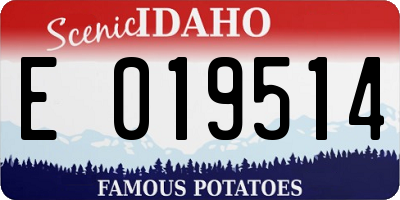 ID license plate E019514