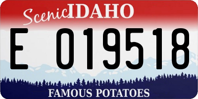 ID license plate E019518