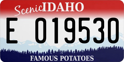 ID license plate E019530