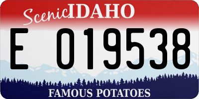 ID license plate E019538