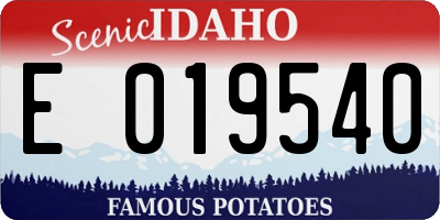 ID license plate E019540