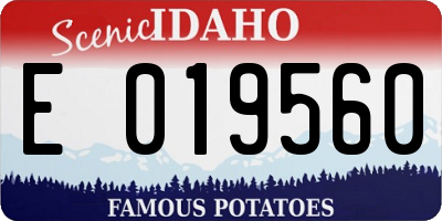 ID license plate E019560