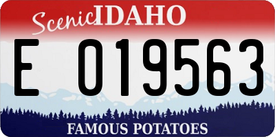 ID license plate E019563