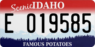 ID license plate E019585