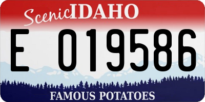 ID license plate E019586