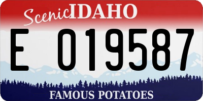 ID license plate E019587