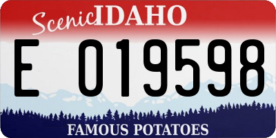 ID license plate E019598