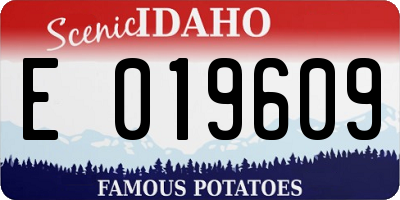 ID license plate E019609