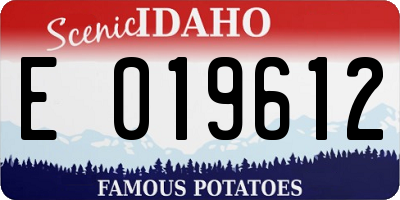 ID license plate E019612