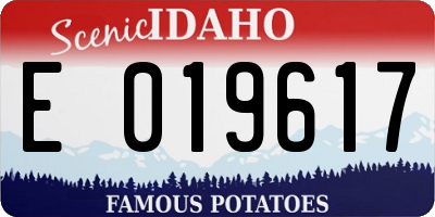 ID license plate E019617