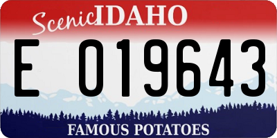 ID license plate E019643