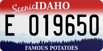 ID license plate E019650