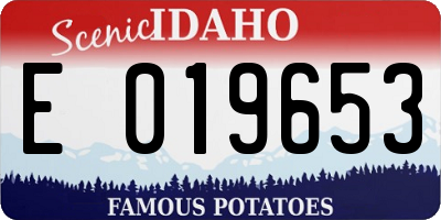 ID license plate E019653
