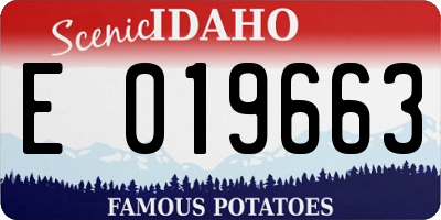 ID license plate E019663