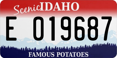 ID license plate E019687