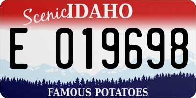 ID license plate E019698