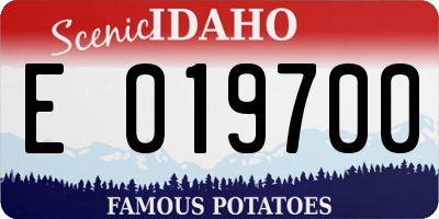 ID license plate E019700