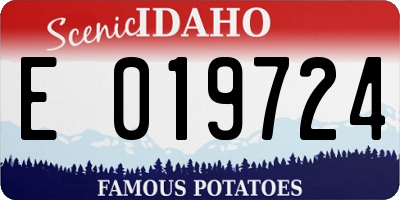 ID license plate E019724