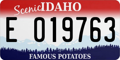 ID license plate E019763