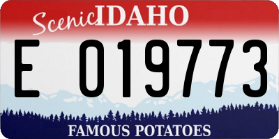 ID license plate E019773