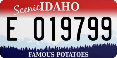 ID license plate E019799
