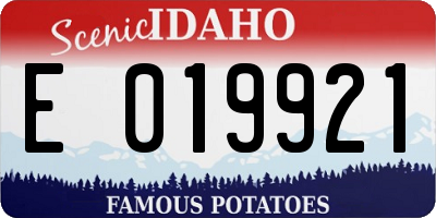 ID license plate E019921