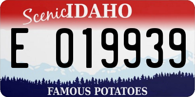 ID license plate E019939