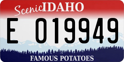 ID license plate E019949