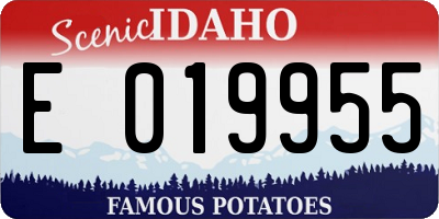 ID license plate E019955
