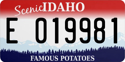 ID license plate E019981