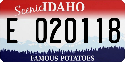 ID license plate E020118