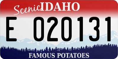 ID license plate E020131