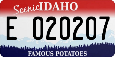 ID license plate E020207