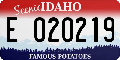 ID license plate E020219