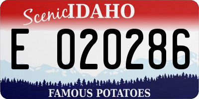 ID license plate E020286