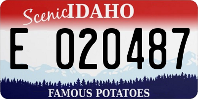 ID license plate E020487